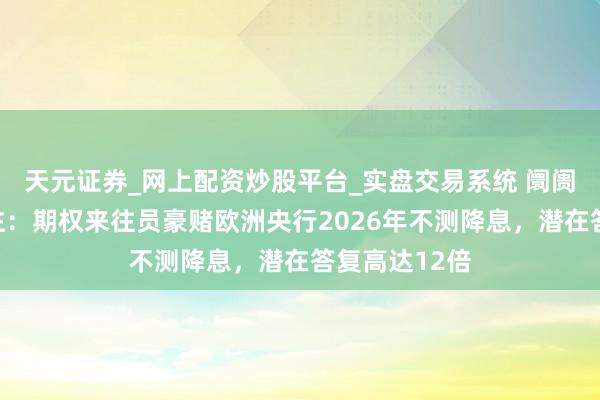 天元证券_网上配资炒股平台_实盘交易系统 阛阓惊现反向押注：期权来往员豪赌欧洲央行2026年不测降息，潜在答复高达12倍