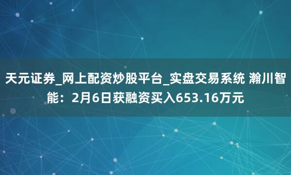 天元证券_网上配资炒股平台_实盘交易系统 瀚川智能：2月6日获融资买入653.16万元
