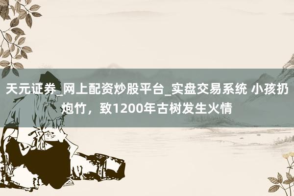 天元证券_网上配资炒股平台_实盘交易系统 小孩扔炮竹，致1200年古树发生火情